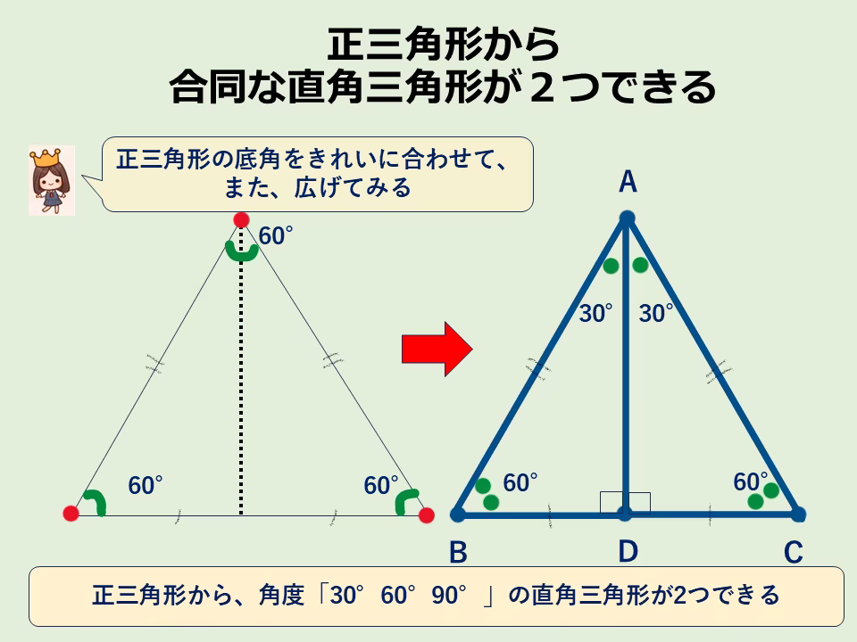 「直角」がないように見える正三角形ですが半分に折ると合同な「直角三角形」が２つ現れます。その角度は、「30°,60°,90°」です。